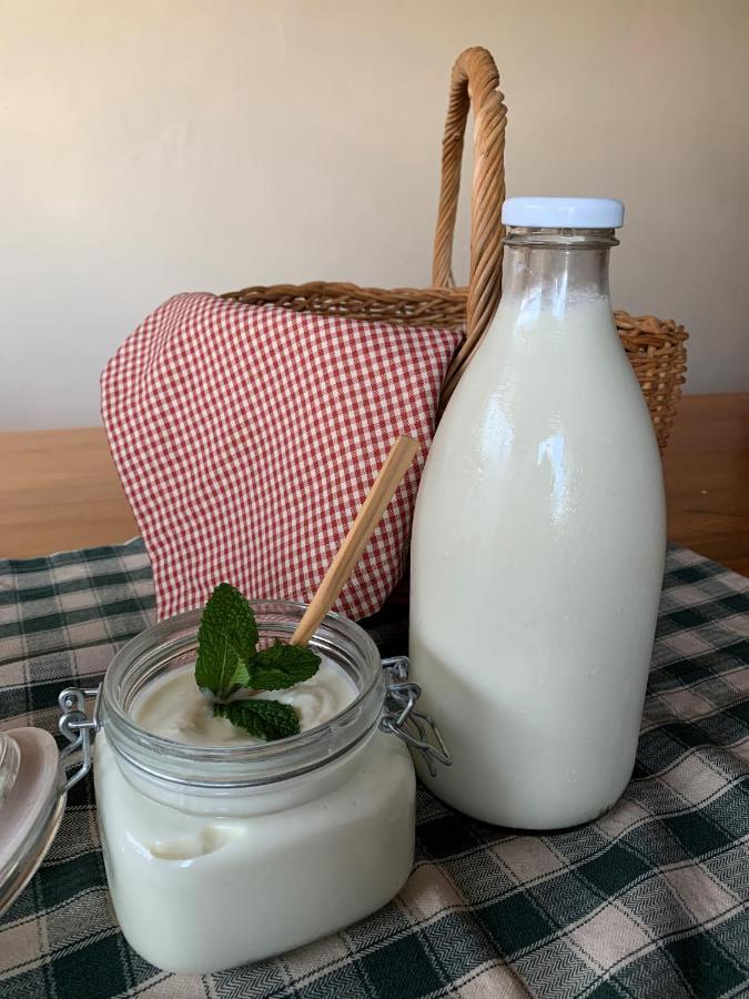 Potteberg Guest Farm Apartman Malgas Kültér fotó